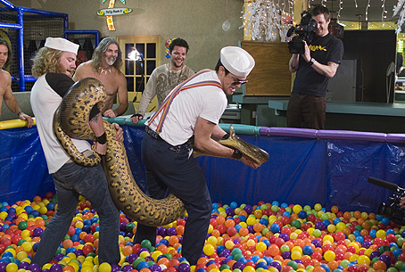 Jackass stort.jpg