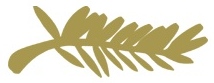 Cannes logo.jpg