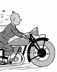 Tintin